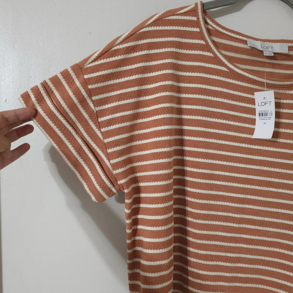 LOFT Nwt Boxy Oversized Cropped Peachy Brown & White Dot Striped Crewneck Tee, M - Picture 4 of 11